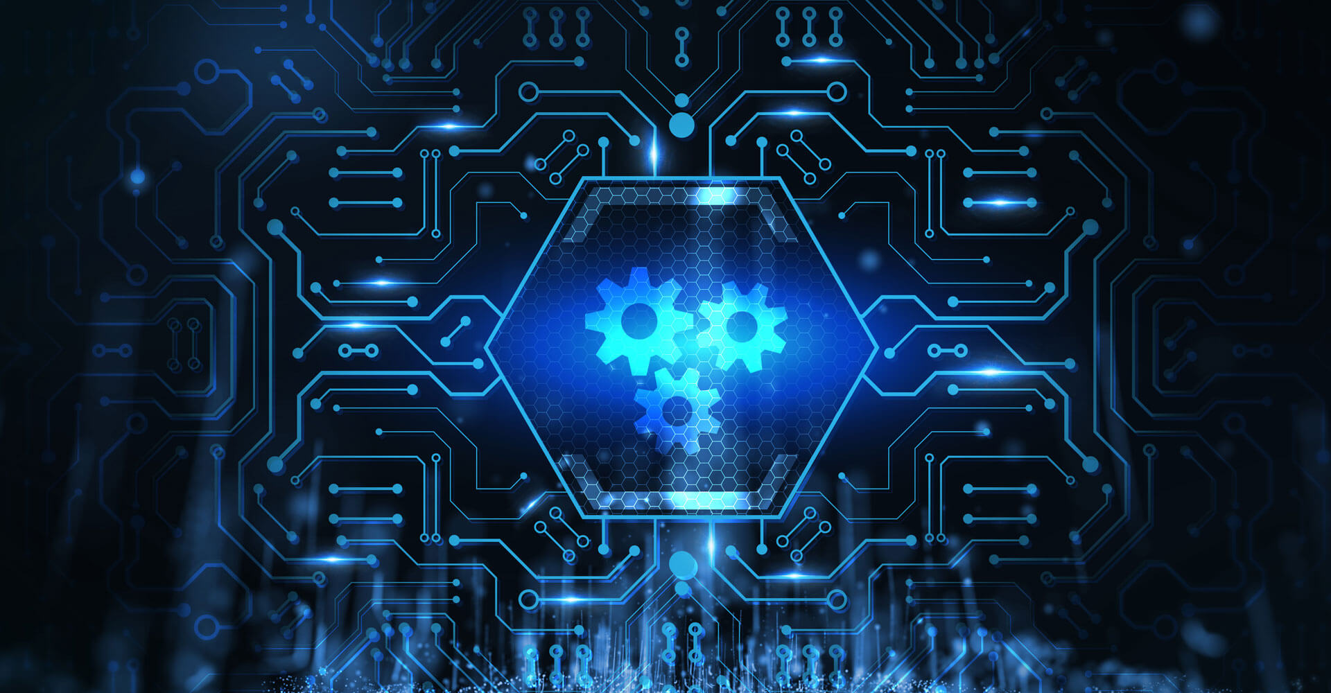 EXEC eDecision Prüfungspflichten nachkommen